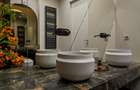 Penthouse langa Marriot Floreasca, nou, prima inchiriere, garaj subteran - 15