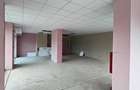 Spatiu Comercial pe Bld. Victoriei vizavi de Parcul Sub Arini - Hotel Mercure - 6
