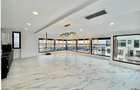 SPATII GENEROASE/PENTHOUSE CU GARDEN FLOOR/ 372 mp utili/PORSCHE NORD - 5