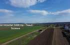 Teren Intravilan 3498 mp Tisauti  Suceava 0727817187 - 1