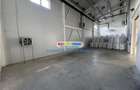Vanzare spatiu industrial Crevedia - 8