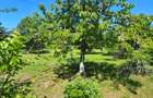 RARA AVIS! Teren 1550 mp, deschidere 31 m, zona Ferme, Otopeni - 2