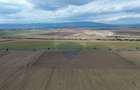 Teren Tisita/ DN2 E85 2.75 ha - 4