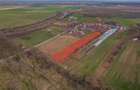 NUCI - BALTA NEAGRA, LOT 3080 MP, LA PADURE! - 8