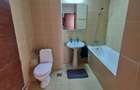Apartament in bloc 2009,  Tătărași, statia Flora/Flux - 7
