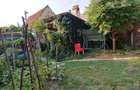 Casa cu gradina mare comuna Dostat , Alba - 3