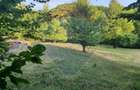 Poiană pentru cabana de vanzare intravilan Coas - 10