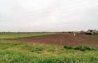 Teren Caracal / Str. Salcamului, 3.585 mp, 7 EUR / mp, comision 0% - 6