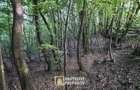 Pădure și pășune de vânzare 8,2037 ha Borod, Bihor