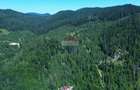 Teren 120.000 mp Sucevița – oportunitate de investiție în turism - 9