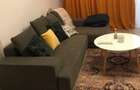 Inchiriere Apartament doua camere Grozavesti - 1