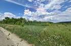 Teren extravilan de 2.400 mp cu deschidere directă la DN1 - Zona Mohu - 4