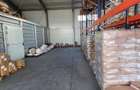 Proprietate top pretabil spatiu industrial cu teren 4000mp ,hala+birouri 1716mp - 18