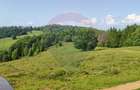 Teren 130000 mp extravilan, faneata si padure, Munteni - Bulz, Negreni - 15