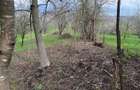Breaza - str.Plaiului, Coasta Berzei nr.54, teren 1400 mp - 8