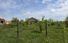 Teren intravilan 664 mp – Peris, Ilfov | Locatie linistita, ideal pentru casa - 7