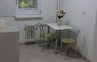 Inchiriez apartament renovat cu 2 camere decomandate - strada Paltinis - 8