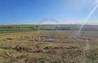 Teren intravilan, 7500 mp in Moara Carp / Strada Eternitatii-Suceava - 7