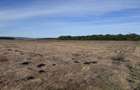 Teren de vanzare in Harman 4,4 Hectare - 11