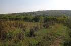 Intravilan - Tomesti - Teren si Cabana zona frumoasa