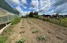Ofertă de vânzare casă în Bonțida aproape de Castelul Banffy - 20