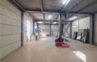 Royal Imobiliare - Inchiriere Spatiu Industrial zona Vest - 3