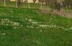 De vânzare o parcelă pentru casă sau cabană  - 4