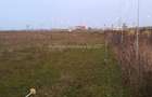 Teren Sanpetru 6300 mp Ocolitoare, posibilitate rate - 4