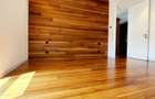 Apartament 5 camere Kiseleff - Aviatorilor - 9