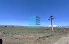 Teren 50.000 Mp, Brasov-Halciu - 4