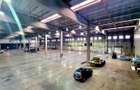 Hala industriala de vanzare, Timisoara Freidorf,0 COMISION - 4