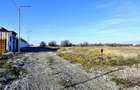 TEREN 762mp zona privata exclusivista Izvorani Delta Snagov la 100m lac - 12