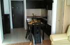 Apartament 2 camere, Tatarasi Green Park. - 2