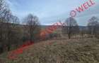 Teren extravilan de vânzare în Sărămaș, pe punctul de numit ,,PARAIE,, - 3