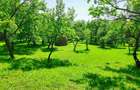 Teren intravilan Talea situat in mijlocul naturii ! - 4