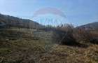 Teren 1,000mp Piatra-Neamt / Zona Fermelor - 2