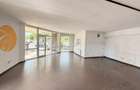 Spatiu comercial cu terasa, Constantin Brancusi - 2