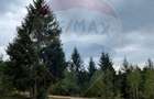 Teren extravilan parcelabil Călățele Pădure, zona Dealu Negru - 9