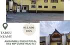 Ansamblu industrial - 942 mp constructii + 3.558 mp teren - Targu Neamt - 1