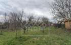 Casa si teren de vanzare in Sacel - 1355 mp teren - livada - Central - 8
