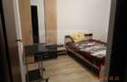 Apartament 2 camere, decomandat, Canta - 399 euro - 4