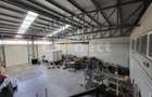Hala 300mp+birouri 50mp - 1