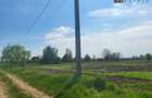 Teren 11.000 mp | Gradistea | Oportunitate Dezvoltare - 6
