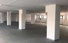 Spatiu comercial 612mp, 10 parcari, Dambul Rotund, Corneliu Coposu - 4