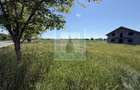 Teren intravilan 50000 mp, cu PUZ, Aprobat - zona Halchiu/Codlea - 19