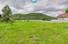 Casă în localitatea Gurahonț - Arad, teren 2914 mp - 23
