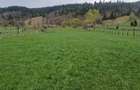 Vindem teren in Vatra Moldovitei - Bucovina - 8