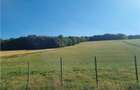 De vanzare teren intravilan 3.1 Ha, Sancraul De Mures, Mures - 2
