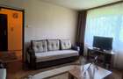 Apartament cu 2 camere la parter, in Astra, Brasov - 7
