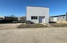 Platformă industrială flexibilă – 15.576 mp – oportunitate build-to-suit – Timiș - 2